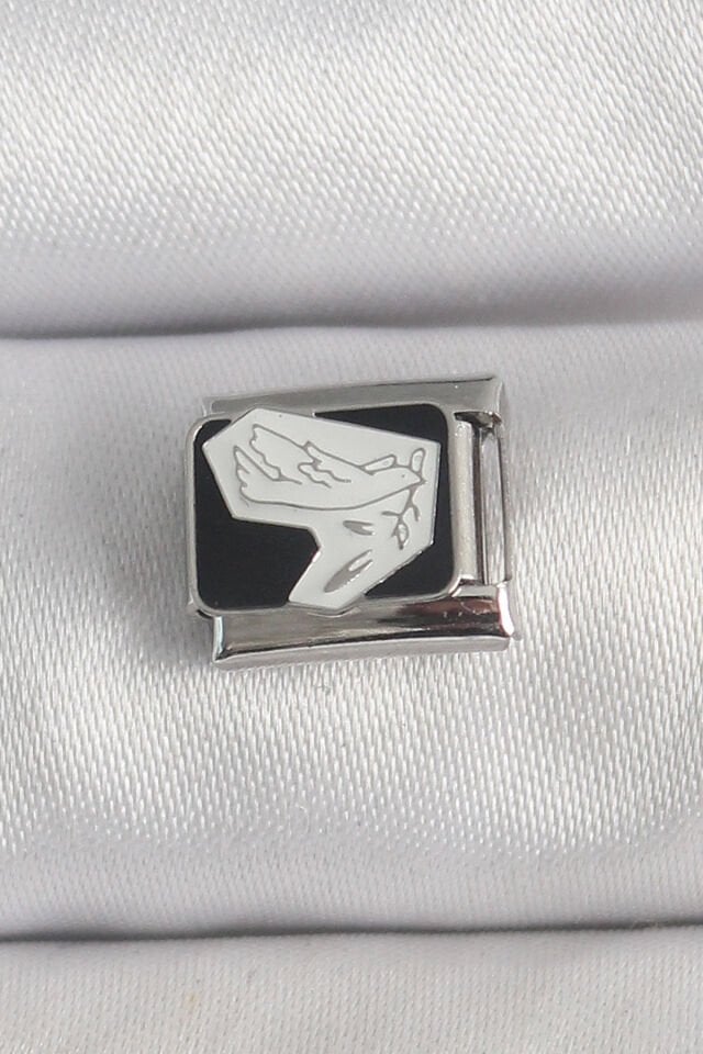 316L Çelik Gümüş Renk Siyah Beyaz Kuş İşlemeli Nomination Charm