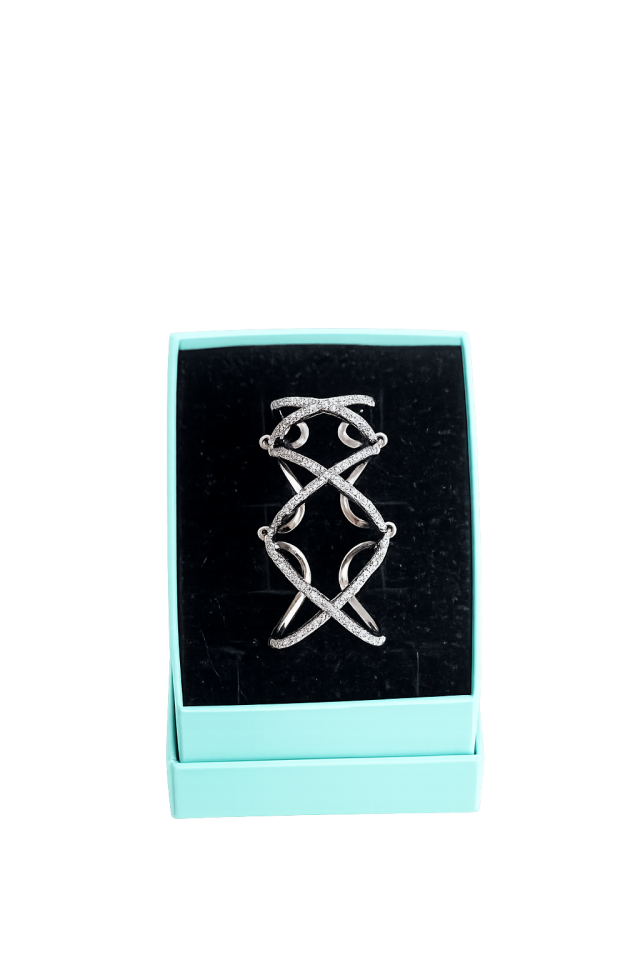 Celestia Wrap Yüzük (Silver)